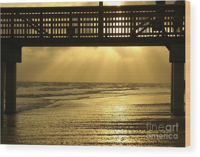 Fort Myers Wood Print featuring the photograph Fort Myers Golden Sunset by Jennifer White