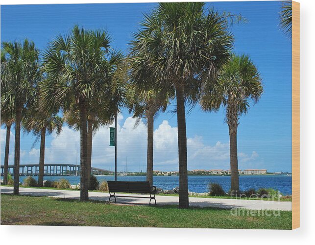 Palms Wood Print featuring the photograph Fort Pierce River Front by Bob Sample