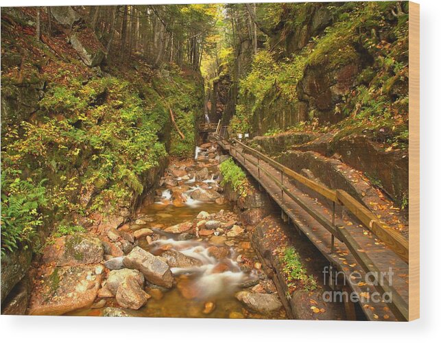 Flume Gorge Wood Print featuring the photograph Franconia Notch Flume Gorge New Hampshire by Adam Jewell