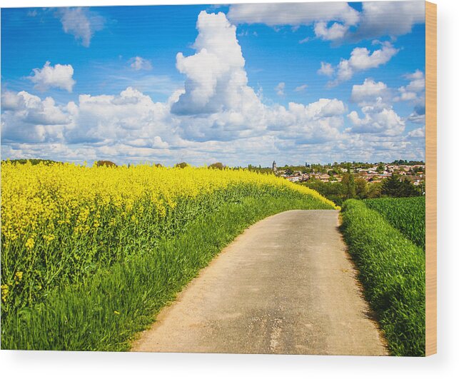 Countryside Wood Print featuring the photograph French Countryside by Nila Newsom