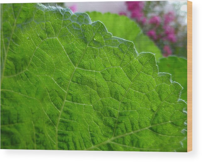 Leaf Wood Print featuring the photograph Fringe by Claudia Goodell