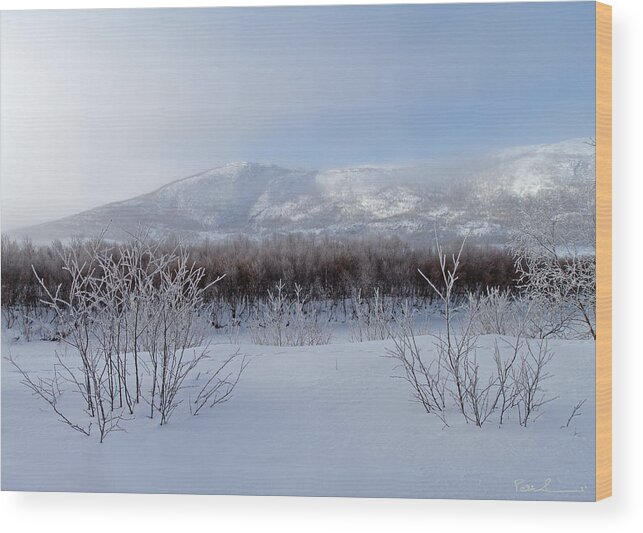 Arctic Wood Print featuring the photograph Frosty Mists in the Morning by Pekka Sammallahti