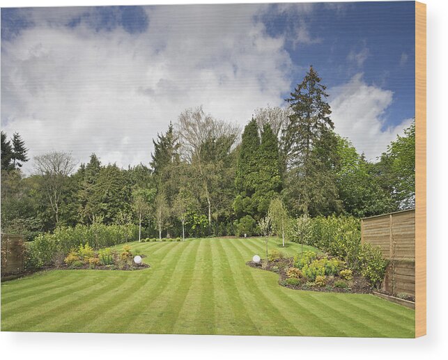 Flowerbed Wood Print featuring the photograph Garden View by Phototropic