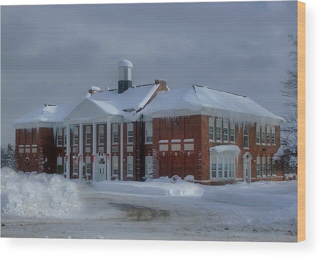 Glenfield Elementary Wood Print featuring the photograph Glenfield Elementary School by Dennis Comins