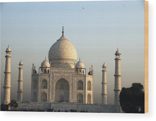 Architecture Wood Print featuring the photograph Glorious Taj by Rajiv Chopra