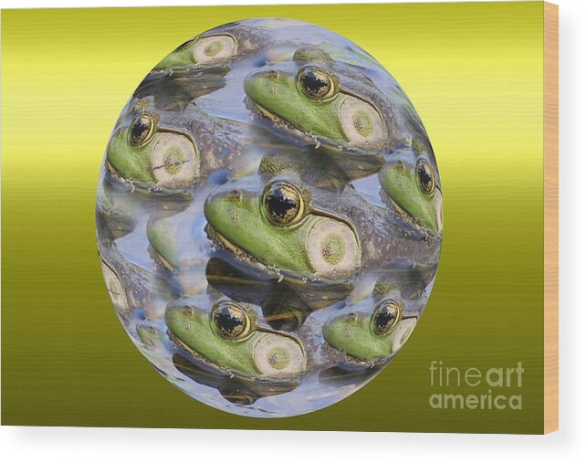 Frog Wood Print featuring the photograph Golden Eye by Rick Rauzi
