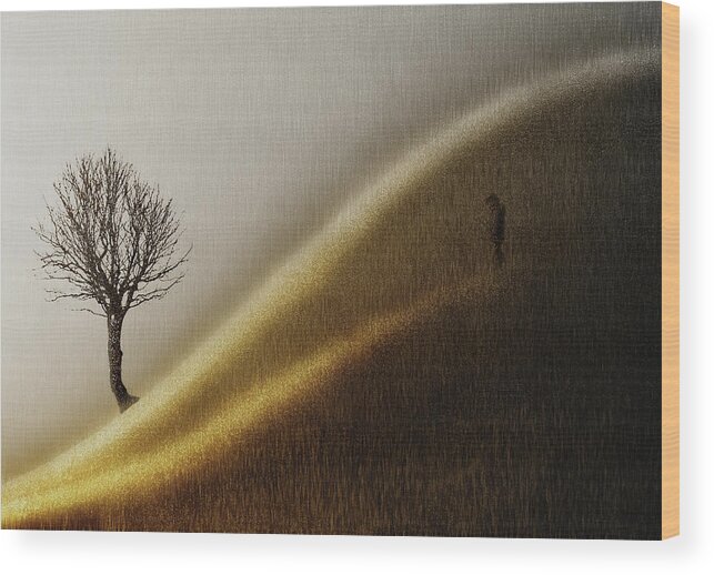 Hill Wood Print featuring the photograph Golden Hills by Helge Andersen