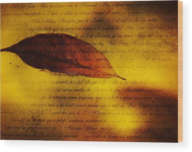 Texture Wood Print featuring the photograph Golden Leaf 1 by Jenny Rainbow