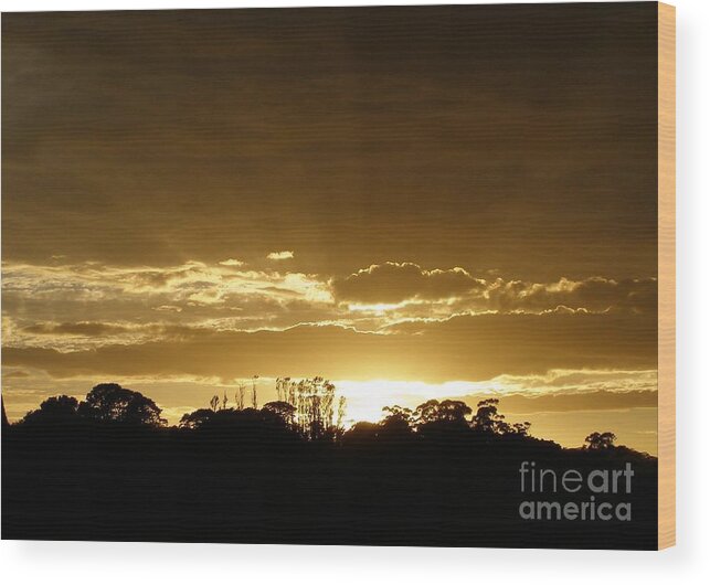 Golden Wood Print featuring the photograph Golden Sunrise by Bev Conover