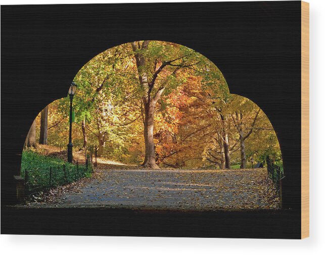 Central Park Wood Print featuring the photograph Golden Underpass by S Paul Sahm