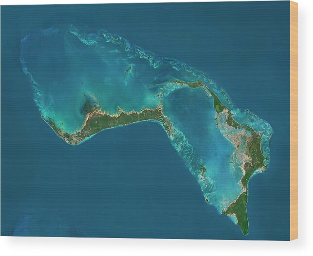 Satellite Image Wood Print featuring the photograph Grand Bahama And Abaco Islands by Planetobserver/science Photo Library
