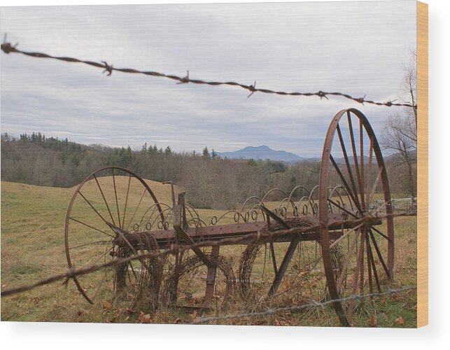 Grandfather Mountain Wood Print featuring the photograph Grandfather Mountain by Bill TALICH