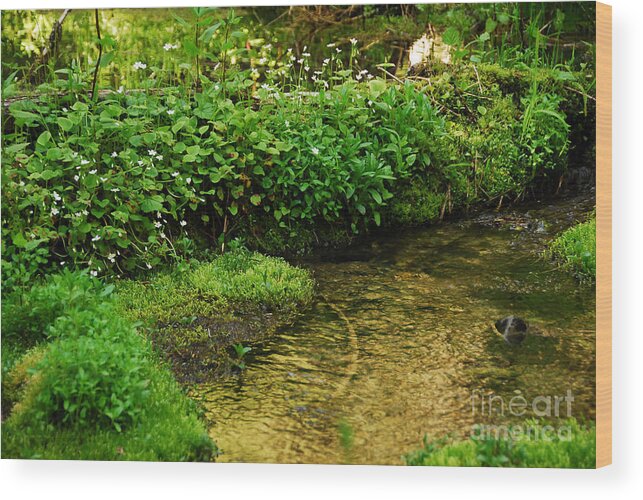 Granite Creek Wood Print featuring the photograph Granite Creek by Sam Rosen