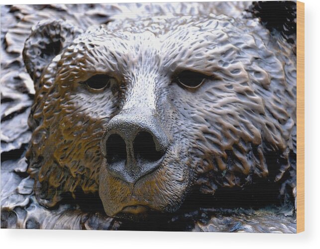 Chicago Bears Wood Print featuring the photograph Grizzly 4 by Norma Brock