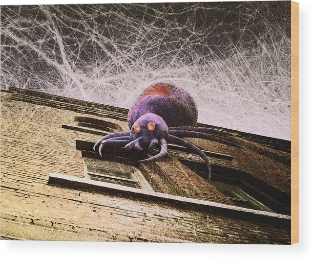 Spider Wood Print featuring the photograph Halloween is Coming by Sue Capuano