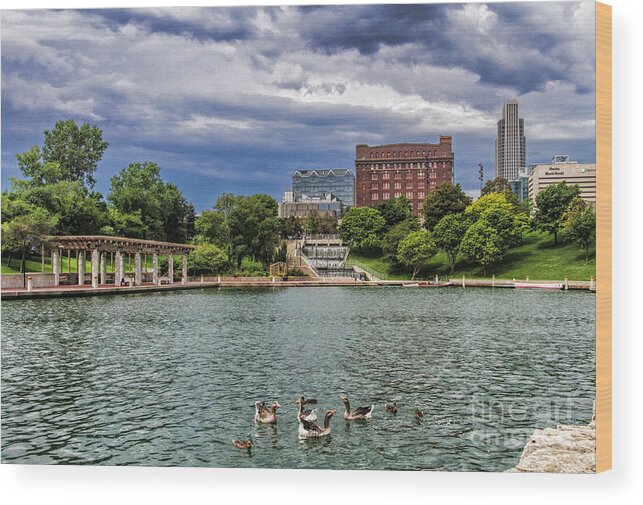 Park Wood Print featuring the photograph Heartland of America Park by Elizabeth Winter