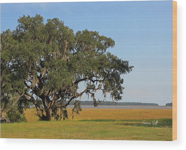 Live Oak Wood Print featuring the photograph Heaven is a Beautiful Place by Suzanne Gaff
