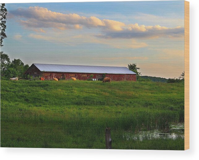 Field Wood Print featuring the photograph Hebron Ave Farm by Andrea Galiffi