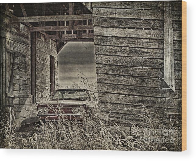Corvair Wood Print featuring the photograph Hiding In Plain Site by Pam Holdsworth