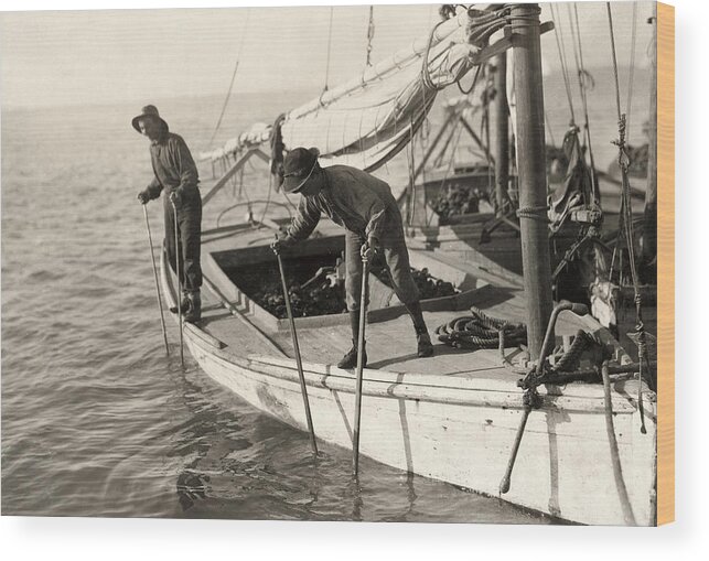 1911 Wood Print featuring the photograph Hine Oyster Fishing, 1911 by Granger