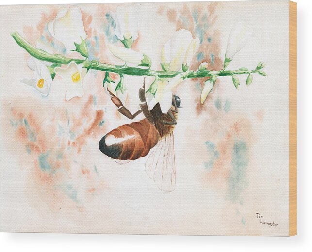 Bee Wood Print featuring the painting Honey Bee by Timothy Livingston