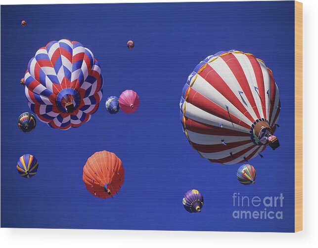 Albuquerque Wood Print featuring the photograph Hot Air Balloon 12 by Bob Christopher