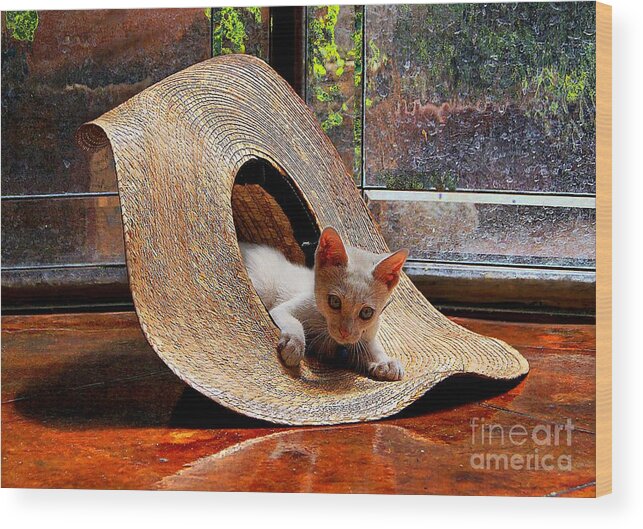 John+kolenberg Wood Print featuring the photograph I Just Love My New Hat by John Kolenberg