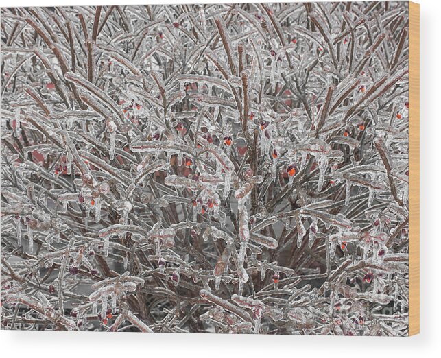 Ice Wood Print featuring the photograph Ice Abstract 1 by Barbara McMahon