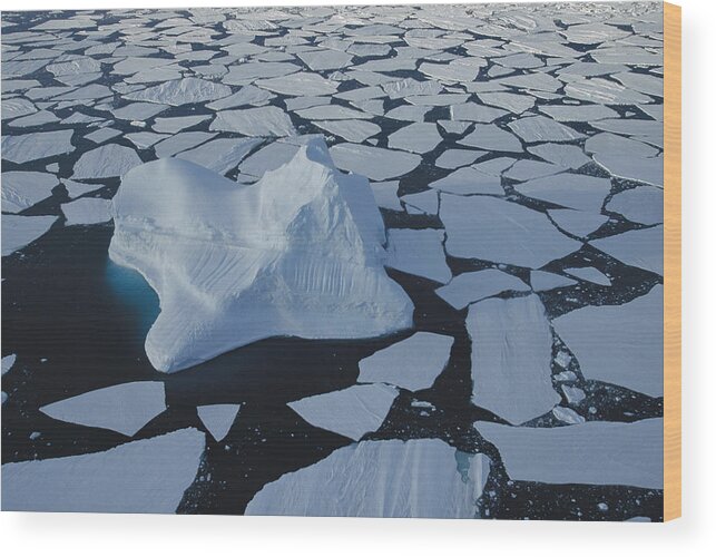 Feb0514 Wood Print featuring the photograph Iceberg Drifting Among Floes Antarctica by Colin Monteath