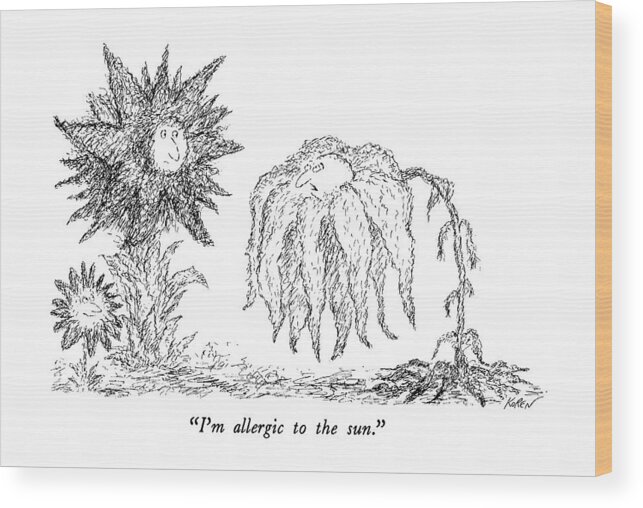 

 One Drooping Sunflower To His Healthier Friends. 
Problems Wood Print featuring the drawing I'm Allergic To The Sun by Edward Koren