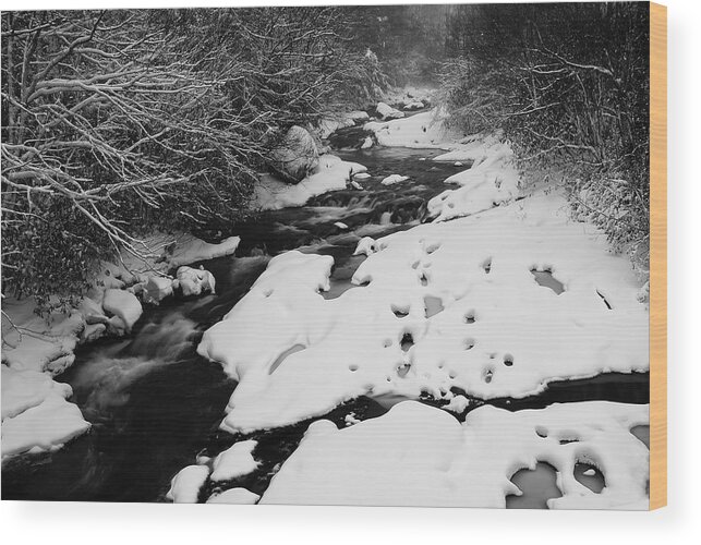 Winter Storm Wood Print featuring the photograph Into the snowy wilderness by Photography By Sai