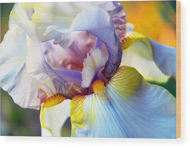 Iris Wood Print featuring the photograph Iris by Linda Segerson