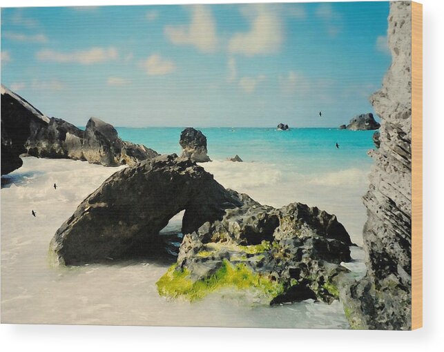 Bermuda Wood Print featuring the photograph Jobson's Cove Footprint by Diana Angstadt