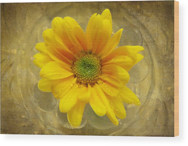 Yellow Flower Wood Print featuring the photograph Joy by Linda Segerson