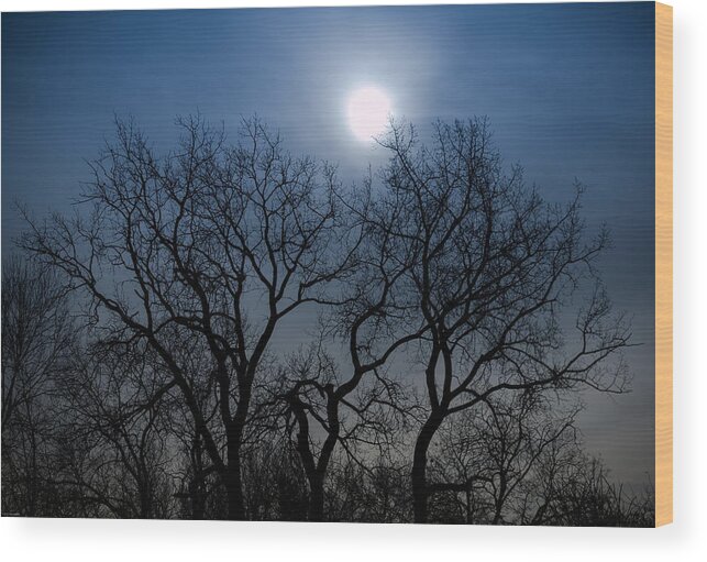 Tree Silhouettes Wood Print featuring the photograph Jump Ball by Kathleen Scanlan