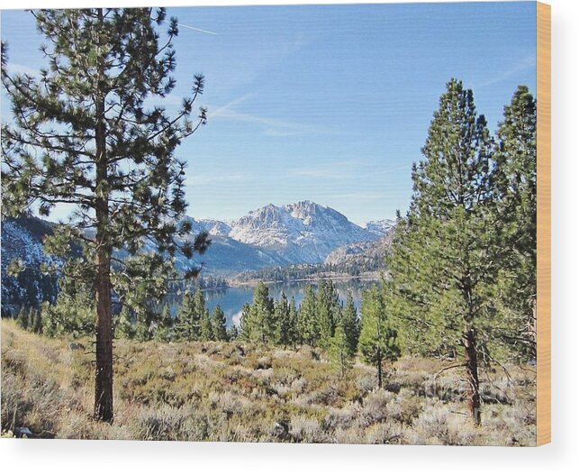 June Wood Print featuring the photograph June Lake by Marilyn Diaz