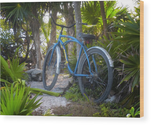 Bicycle Wood Print featuring the photograph Jungle Bike by Jessica Levant