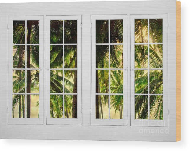 Jungle Wood Print featuring the photograph Jungle Paradise Plantation Double 16 Pane Window View by James BO Insogna