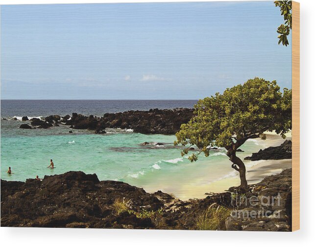 Fine Art Print Wood Print featuring the photograph Just Another Day in Hawaii by Patricia Griffin Brett