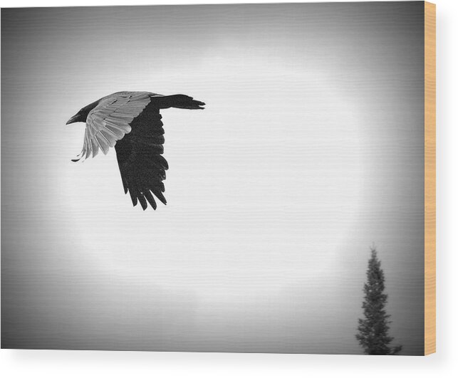 Raven Wood Print featuring the photograph King Raven by Lisa Holland-Gillem