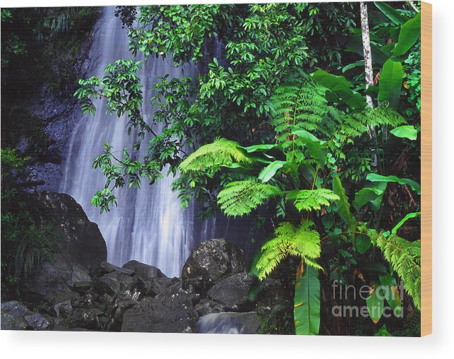 Puerto Rico Wood Print featuring the photograph La Coca Falls by Thomas R Fletcher
