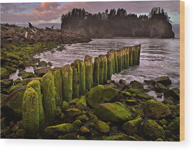 2011 Wood Print featuring the photograph La Push by Robert Charity