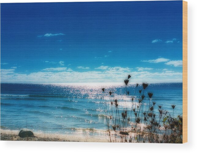 Presquille Park Wood Print featuring the photograph Lazy Summer Day by Ed McDermott