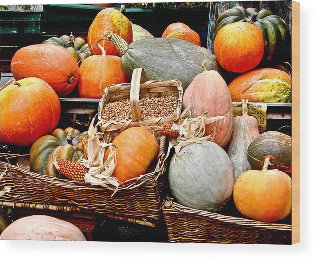 Pumpkin Wood Print featuring the photograph Le Zucche in Portovenere Italy by Sally Ross