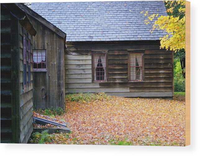 Autumn Wood Print featuring the photograph Leaves in the yard by Lois Lepisto