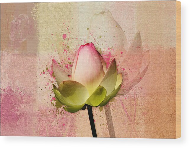 Waterlily Wood Print featuring the photograph Lily My Lovely - s03c2 by Variance Collections