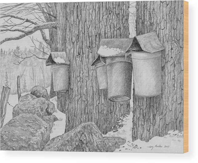 Sap Bucket Wood Print featuring the drawing Line of Sap Buckets by Harry Moulton
