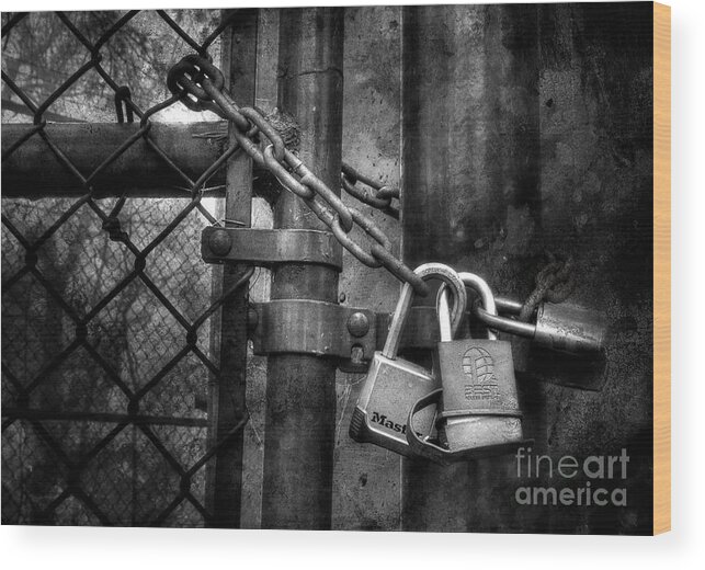 Chain Wood Print featuring the photograph Locks Locking Locks by Michael Eingle Chain Wood Print featuring the photograph Locks Locking Locks by Michael Eingle