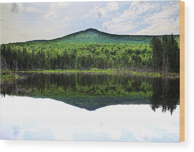 Adams Wood Print featuring the photograph Lone Lake by Andrea Galiffi