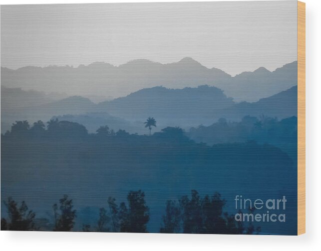 Caribbean Wood Print featuring the photograph Lone Palm by Kimberly Blom-Roemer